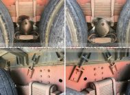 HINO PROFIA VACUUM DUMPER (2006)